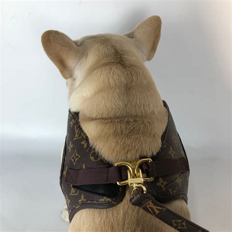 chien louis vuitton